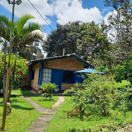 Pousada Balneario Cachoeira Do Moinho Belo Vale Dış mekan fotoğraf